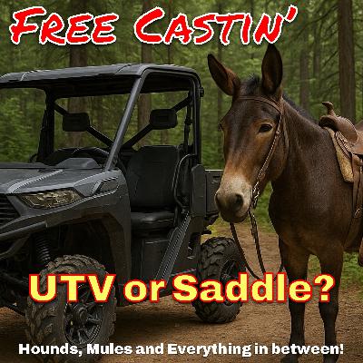 Trucks, ATV or in a saddle? Trucks, ATV or in a saddle?