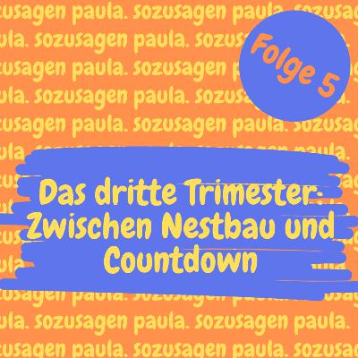 Folge 5 - Das dritte Trimester: Zwischen Nestbau und Countdown Folge 5 - Das dritte Trimester: Zwischen Nestbau und Countdown