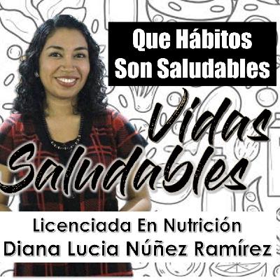 Que Hábitos Son Saludables