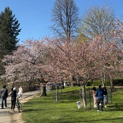 #11 今後の方針について