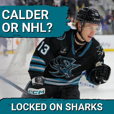 BARRACUDA BOOST: San Jose Sharks’ Top Prospects SET for AHL Playoff Impact or NHL Auditions? BARRACUDA BOOST: San Jose Sharks’ Top Prospects SET for AHL Playoff Impact or NHL Auditions?