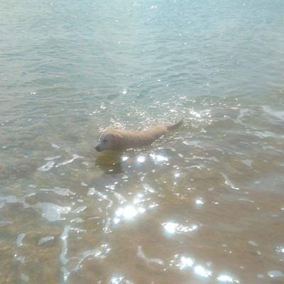 夢老師教我的事 EP7:阿嬤告別式看見家族的真相 夢老師教我的事 EP7:阿嬤告別式看見家族的真相