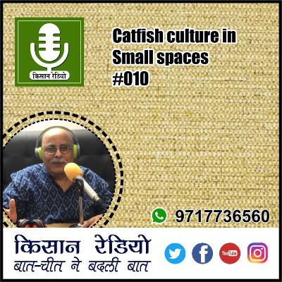 Catfish culture in small spaces