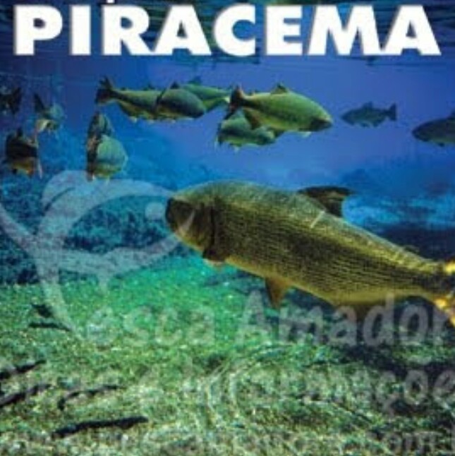 PIRACEMA: