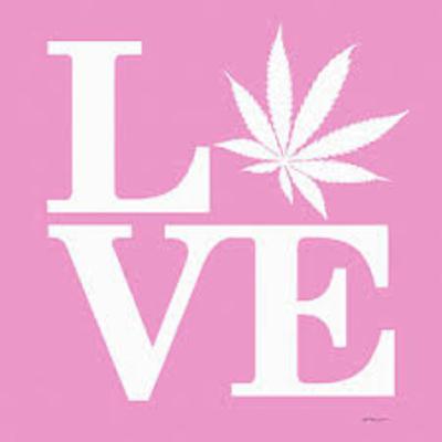 What is this Endocannabinoid System that we All Need to Know About ?!