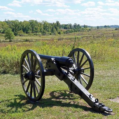 Grassland Birds Thrive in Battlefield Parks