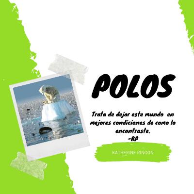 20. Productos de limpieza naturales