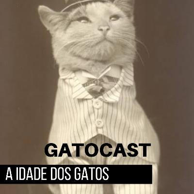 Ep. 30 - A idade dos gatos