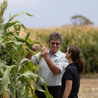 Setting up for fodder crops