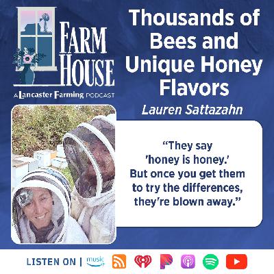 Thousands of Bees and Unique Honey Flavors With Lauren Sattazahn