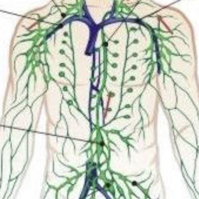 Episodio 3- Masaje Drenaje Linfático Episodio 3- Masaje Drenaje Linfático