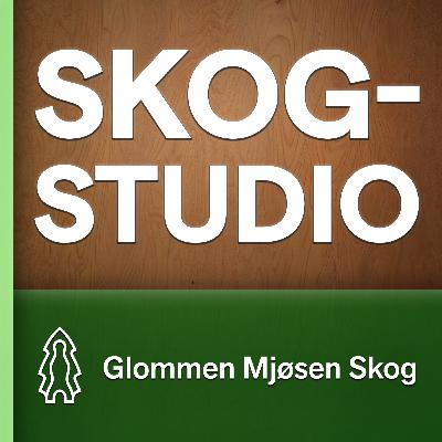Myten om plantasjeskog – Skogstudio aktuelt Myten om plantasjeskog – Skogstudio aktuelt