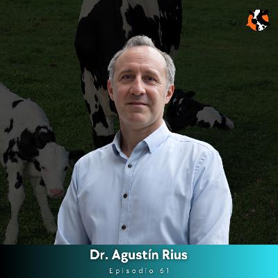 #61 - Aditivos y estrés térmico: Sistema inmune e inflamación en terneros - Parte 1 - Dr. Agustín Rius #61 - Aditivos y estrés térmico: Sistema inmune e inflamación en terneros - Parte 1 - Dr. Agustín Rius