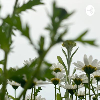 パーソンズの特性因子理論について