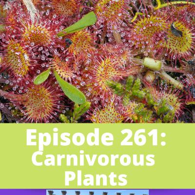 Carnivorous Plants