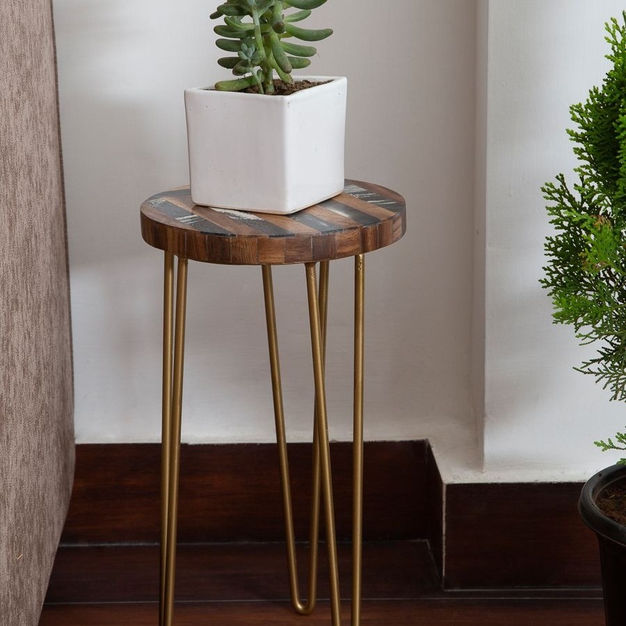 6 Other things that you can Display or Use Plant Stands For
