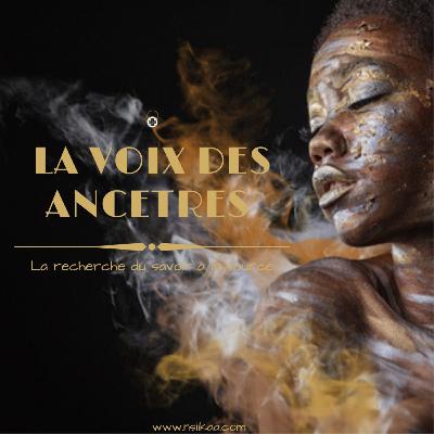 ✨ARRÊTE cette vie FAST & FURIOUS | SECRET du rythme NYCTHÉMERAL ( Jour / Nuit)