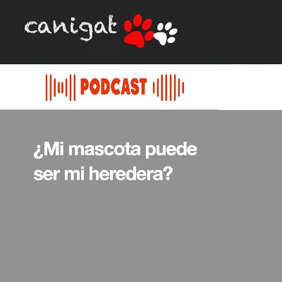 127 -¿Mi mascota puede ser mi heredera?