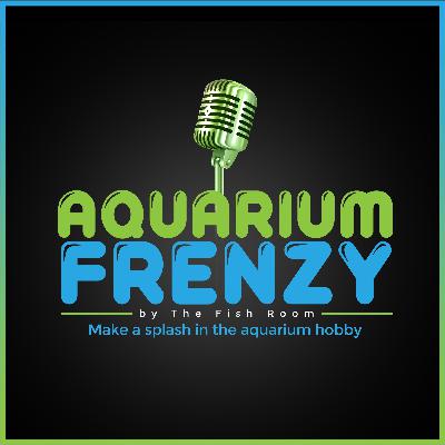 Aquarium Frenzy Ep22 The one with Nick from Keeping Fish Simple