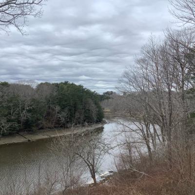 The first episode: Lilly's garden