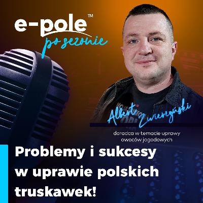 Problemy i sukcesy w uprawie polskich truskawek || Albert Zwierzyński