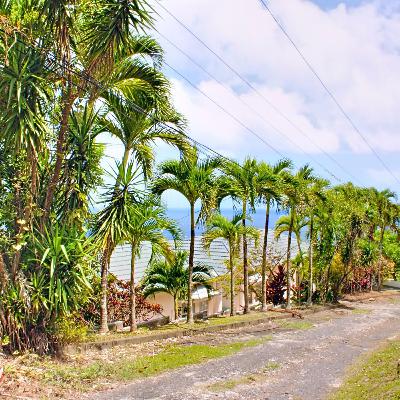 Analyzing Portland Jamaica Multi-Family Investment Analyzing Portland Jamaica Multi-Family Investment