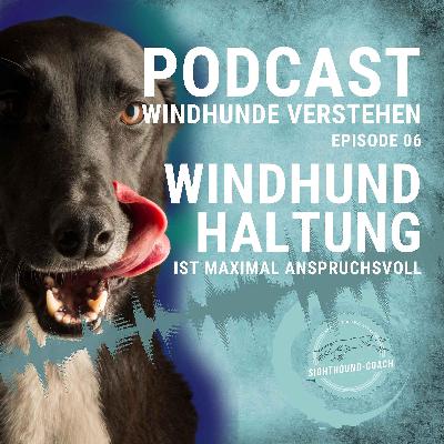 Windhundhaltung ist maximal anspruchsvoll Windhundhaltung ist maximal anspruchsvoll