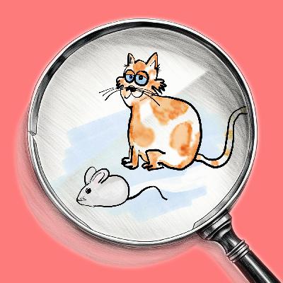 Kater Vivaldi: saure Milch und Rattendreck Kater Vivaldi: saure Milch und Rattendreck