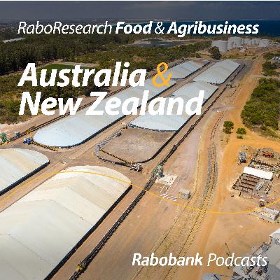 Navigating an above-average winter grain crop: Insights on 2025/26 grain production trends and pricing