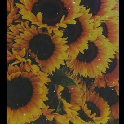 Yaaden🌻 Yaaden🌻