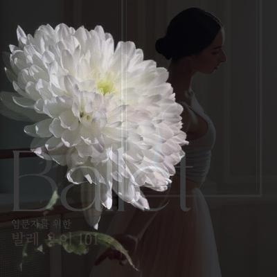 애도의 마음을 전합니다.