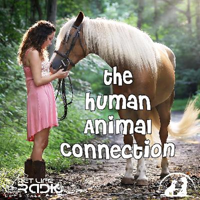 The Human-Animal Connection 80 Understanding the Root of Allergies in Animals