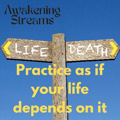 Practice as if Your Life Depends on It | Shōyorōku Case 32 | Kyōzan's State of Mind