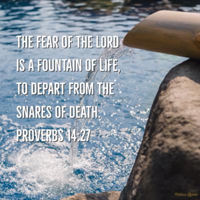 May 6 - A Fountain of Life