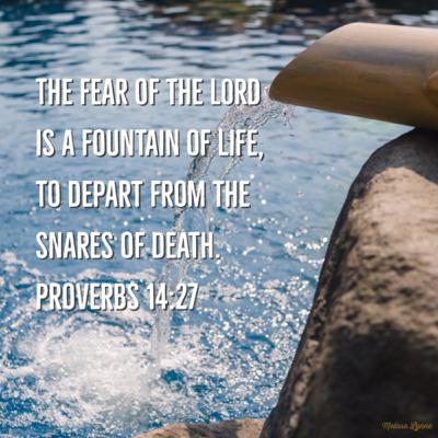 May 6 - A Fountain of Life