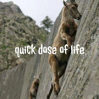 'Serving the silent' - A short discussion for anyone who creates content 'Serving the silent' - A short discussion for anyone who creates content