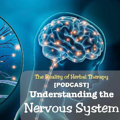 Understanding the Nervous System: Herbal Remedies for Stress, Anxiety, and Pain