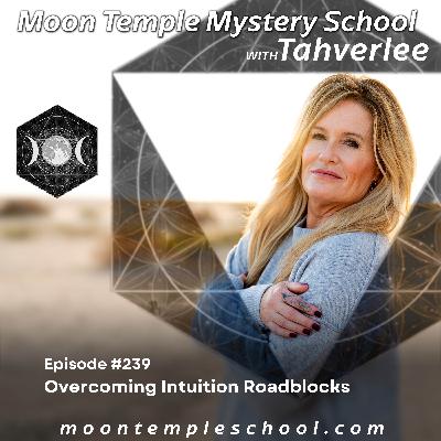 Overcoming Intuition Roadblocks