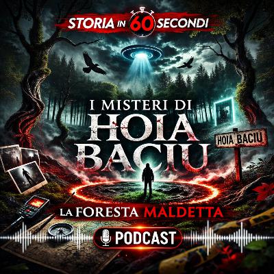 Hoia Baciu: la Foresta dei Misteri tra Scienza e Leggenda