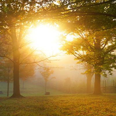 Come Follow Me Doctrine & Covenants Podcast #20: “That Which Is of God Is Light,” D&C 49-50