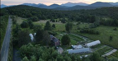 The Details of Sustainable Flower Farming with Little Farmhouse Flowers