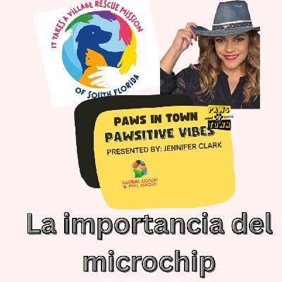 La importancia del microchip
