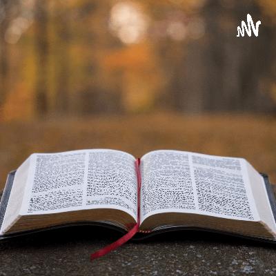 In Search of Truth  (Trailer)