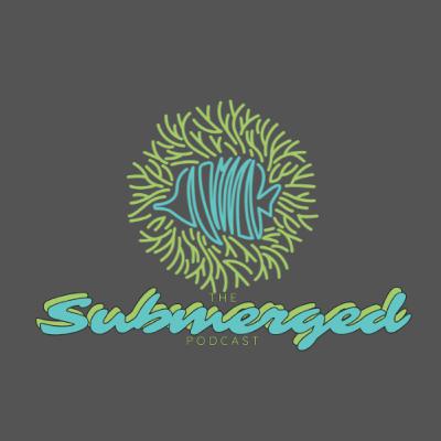 Episode 12, Coral chat