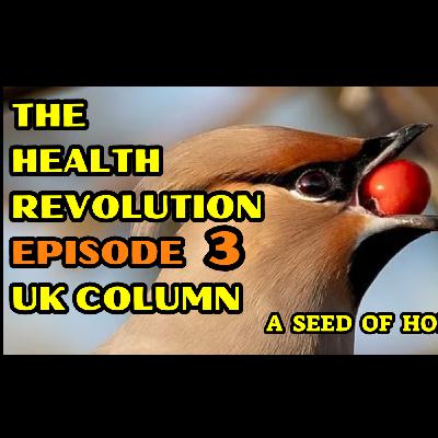 The Health Revolution Episode 3 UK Column