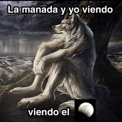 triste y horny triste y horny