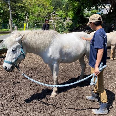 097 ホールでつながる瞬間 「場を包み、感じる」〜馬と身体合宿2025-05振り返り（後半）
