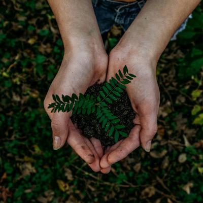 Shelf to Soil - how board games are getting greener (Topic Discussion)