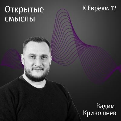 Послание к Евреям 12 глава - Вадим Кривошеев - ОТКРЫТЫЕ СМЫСЛЫ Послание к Евреям 12 глава - Вадим Кривошеев - ОТКРЫТЫЕ СМЫСЛЫ