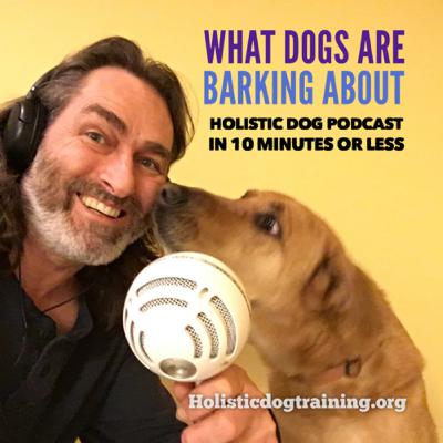 About Roman , Holistic Dog Training and Parenting